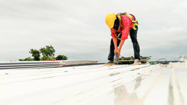 Best Roof Moss and Algae Removal  in Kulpsville, PA